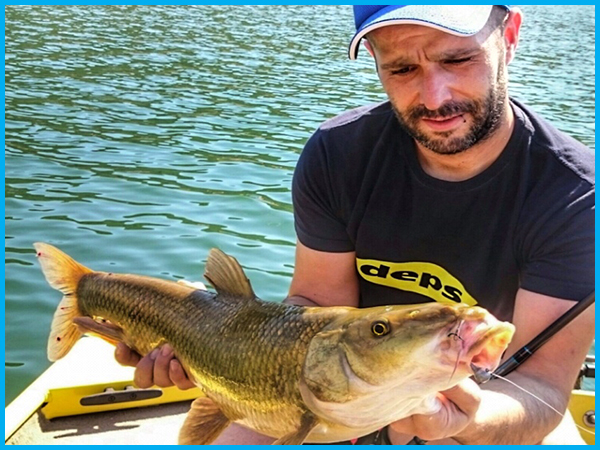 Miguel Angel Paniagua Barba